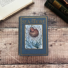 Load image into Gallery viewer, The Sea Shore Shown to the Children Antique Nature Wildlife Book...published by T.C & E.C Jack Ltd