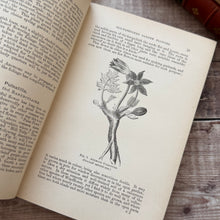 Load image into Gallery viewer, 1884 Hardy Perennials and Old Fashioned Garden Flowers by John Wood; Late Victorian Illustrated Book