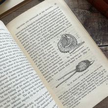 Load image into Gallery viewer, 1851 A Manual of the Mollusca or A Rudimentary Treatise of Recent and Fossil Shells