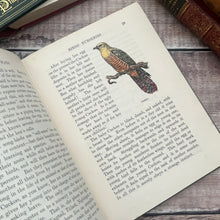 Load image into Gallery viewer, Birds and Their Ways The Rambler Nature Books Beautiful Floral Binding
