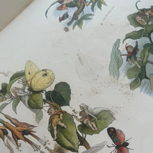 Load image into Gallery viewer, 1870 Rare First Edition of Fairyland; Pictures from the Elf World by Richard Doyle