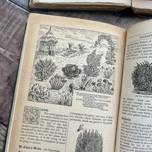 Load image into Gallery viewer, 1897 Beeton's New Dictionary of Every-day Gardening; Victorian Illustrated Book