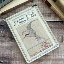 Load image into Gallery viewer, Feathered Friends of Stream and Shore by Eleanor E Helme; With Dust Jacket