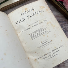 Load image into Gallery viewer, Familiar Wild Flowers Third Series by Edward Hulme; Half Leather Illustrated Book