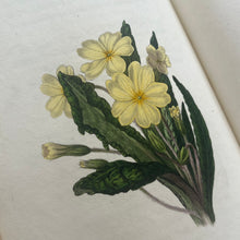 Load image into Gallery viewer, 1833 The Moral of Flowers; First Edition with Hand Coloured Plates RARE (et)