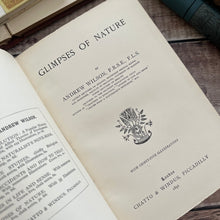 Load image into Gallery viewer, 1891 Glimpses of Nature by Dr Andrew Wilson; Late Victorian Natural History Book