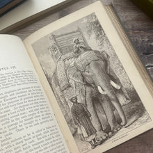 Load image into Gallery viewer, Stories of Wild Beasts by Ascott R Hope; Victorian Illustrated Book of Animals