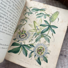 Load image into Gallery viewer, 1855 Popular Garden Botany by Agnes Catlow; First Edition with Hand Coloured Plates