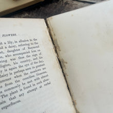 Load image into Gallery viewer, Familiar Wild Flowers First Series by Edward Hulme Beautiful Antique Book