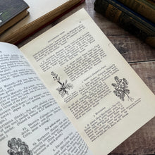Load image into Gallery viewer, Flowers of the Field by Rev CA Johns Eleventh Impression Antique Floral Book