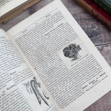 Load image into Gallery viewer, 1895 Beeton's All About Gardening A Dictionary of Garden Work 500 Illustrations