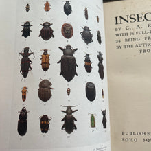 Load image into Gallery viewer, Rare 1921 Insect Life by C.A.Ealand First Edition Antique Illustrated Book