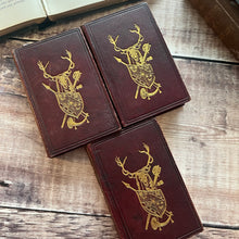 Load image into Gallery viewer, 1838 Three Volume Full Morocco Set of Walter Scott's Poetical Works