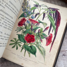 Load image into Gallery viewer, 1855 Popular Garden Botany by Agnes Catlow; First Edition with Hand Coloured Plates