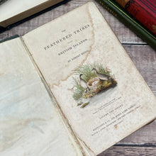 Load image into Gallery viewer, 1834 The Feathered Tribes of the British Isles by Robert Mudie Hand Coloured Illustrations