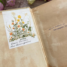 Load image into Gallery viewer, Lion of St Mark by G A Henty A Tale of 14th Century Venice Vintage Hardback Book