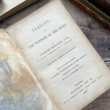 Load image into Gallery viewer, 1858 Glaucus or Wonders of the Shore By Charles Kingsley; Victorian Illustrated Book