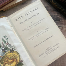 Load image into Gallery viewer, Wild Flowers and Where to Find And How to Know Them by Spencer Thomson