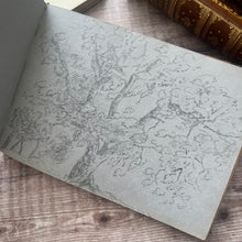 Load image into Gallery viewer, Antique Sketchbook attributed to "Aunt Carr"... Art Journal Pencil Sketches