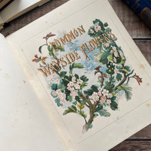 Load image into Gallery viewer, 1860 Common Wayside Flowers Illustrated by Birket Foster FIRST EDITION