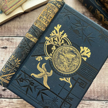 Load image into Gallery viewer, The Fresh and Saltwater Aquarium by Rev J G Wood Victorian Book with Plates