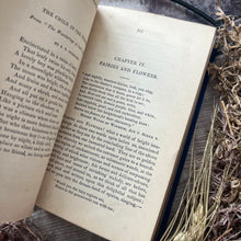 Load image into Gallery viewer, 1856 Flowers: Their Moral, Language and Poetry Early Victorian Book Beautiful