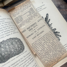 Load image into Gallery viewer, Half Hours With a Naturalist Rambles Near the Shore; Antique Natural History Book