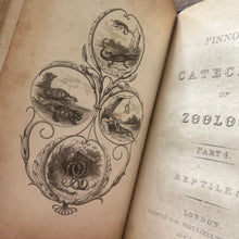 Load image into Gallery viewer, 1831 Catechism of Zoology; Antiquarian Half Leather Book with Illustrations