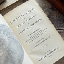 Load image into Gallery viewer, 1851 A Manual of the Mollusca or A Rudimentary Treatise of Recent and Fossil Shells