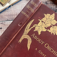 Load image into Gallery viewer, 1893 About Orchids A Chat by Frederick Boyle; Late Victorian Botany Book