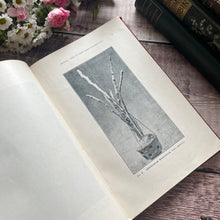 Load image into Gallery viewer, 1900 The Amateur Orchid Cultivator's Guide Book Third Edition Illustrated Colour Plates