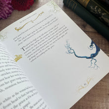 Load image into Gallery viewer, Classic Ghost Stories Modern Softcover Book with Colour Illustrations