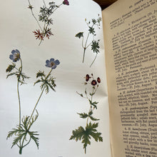 Load image into Gallery viewer, Flowers of the Field by Rev CA Johns Eleventh Impression Antique Floral Book