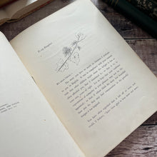 Load image into Gallery viewer, 1879 The Story Without an End by Sarah Austin Victorian Illustrated Book