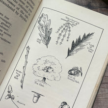 Load image into Gallery viewer, Talks About Trees by John W Gofton Antique Nature Book Illustrated