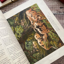 Load image into Gallery viewer, The Fields and The Woodlands Depicted by Painter and Poet; Victorian Book