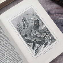 Load image into Gallery viewer, Lady-Bird's Tea-Party and Other Stories by James Crowther; Stunning Pictorial Cloth SCARCE Book