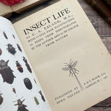Load image into Gallery viewer, Rare 1921 Insect Life by C.A.Ealand First Edition Antique Illustrated Book