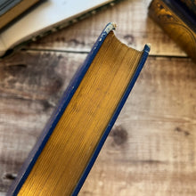 Load image into Gallery viewer, First Edition 1891 The Blue Poetry Book by Andrew Lang Victorian Illustrated #2