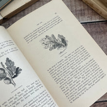 Load image into Gallery viewer, 1899 The Forest Trees of Britain by Rev C.A. Johns; Illustrated Victorian Book