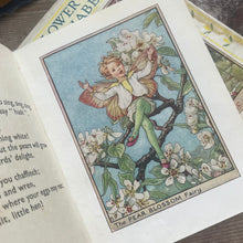 Load image into Gallery viewer, Three Pocket Editions of The Flower Fairies by Cicely Mary Barker; Circa 1950's