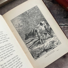 Load image into Gallery viewer, 1884 Rhymes for the Nursery by Ann and Jane Taylor Beautiful Binding