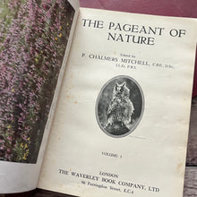 Load image into Gallery viewer, The Pageant of Nature Antique Illustrated Three Volume Collection
