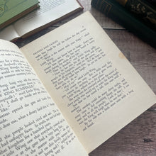 Load image into Gallery viewer, First Edition RARE Princes and Fairies by Stella Mead Vintage Illustrated Fairy Book