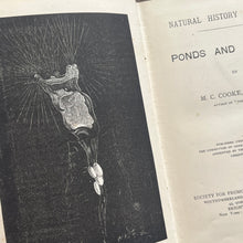 Load image into Gallery viewer, 1888 Ponds and Ditches; Natural History Rambles Illustrated Victorian Book