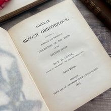Load image into Gallery viewer, 1853 Popular British Ornithology by P.H.Gosse; Second Edition with Hand Coloured Plates