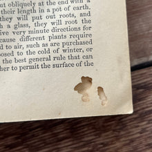 Load image into Gallery viewer, 1859 The Young Lady's Book; A Manual of Elegant Recreations, Arts, Sciences and Accomplishments