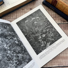 Load image into Gallery viewer, Wild Flowers of Britain with Dust Jacket and One Hundred Photographs Antique Book