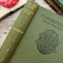 Load image into Gallery viewer, 1913 Flowerless Plants How and Where They Grow by S Leonard Bastin; Illustrated Book