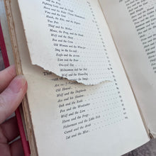 Load image into Gallery viewer, Aesop's Fables; Illustrated Late 19th Century Book with Pictorial Binding